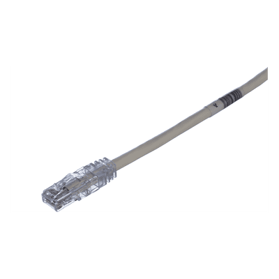 Cable de Parcheo / UTP Cat6 / 24 AWG / CM / 0.61 m (2 ft) / Blanco Mate