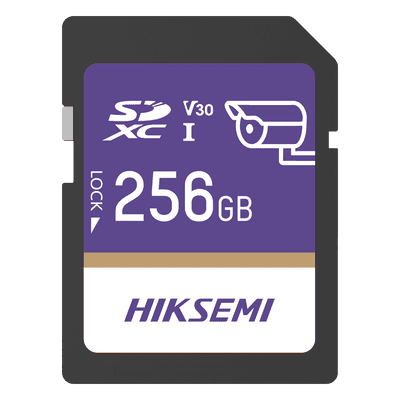 Tarjeta SD GuardPro P10 / 256 GB / 100 MB/s Lectura / 90 MB/s Escritura / Clase 10 U3 V30 / 3D TLC NAND / Especializada Para Videovigilancia 24/7