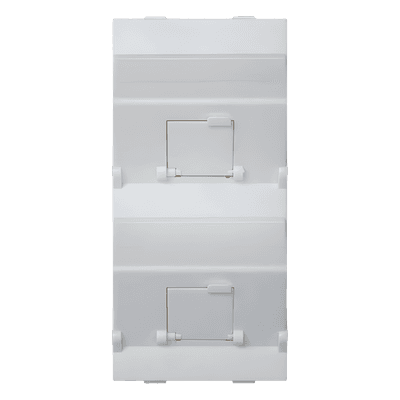 Placa Voz y Datos Inclinada / 2 Puertos RJ45 Keystone / Guardapolvos Integrados / 108×52 mm / Termoplástico