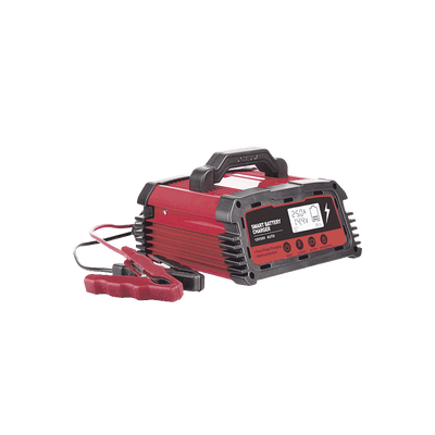 Cargador de Baterías / 12 o 24 Vcc / hasta 250 Ah / 25 A / Display LCD