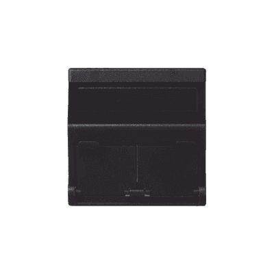 Placa Inclinada Voz y Datos / 2 Módulos RJ45 Keystone / Guardapolvos Integrados / IP20 / 45x45 mm